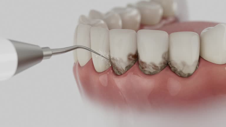 Reliable Dental contractor in Milford, MI by Dentist Open Now